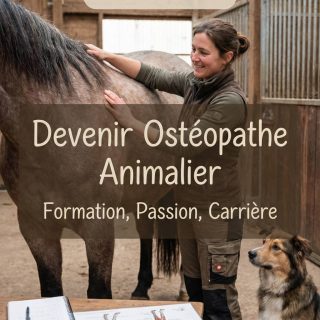 Devenir ostéopathe animalier