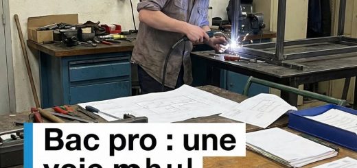 Bac pro : une voie mal valorisée mais adaptée
